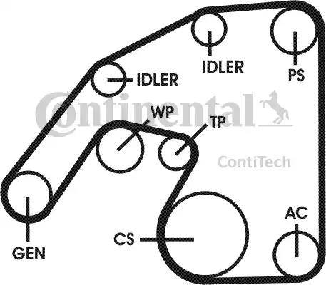 Continental 6PK2260D1 - Kit Cinghie Poly-V www.autoricambit.com