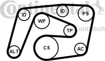 Continental 6PK2260K1 - Kit Cinghie Poly-V www.autoricambit.com