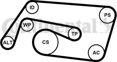 CONTITECH 6PK2260K2 - Kit Cinghie Poly-V www.autoricambit.com