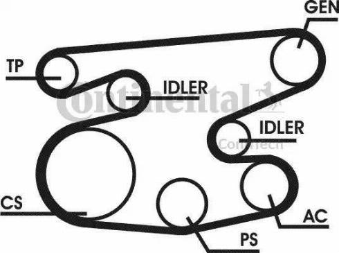 Continental 6PK2236D1 - Kit Cinghie Poly-V www.autoricambit.com