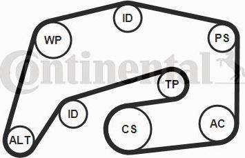 CONTITECH 8PK2035K1 - Kit Cinghie Poly-V www.autoricambit.com