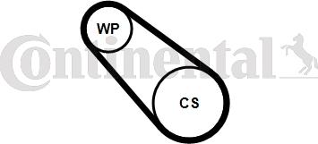 Contitech 3PK576 ELAST WP1 - Pompa acqua + Kit cinghia Poly V www.autoricambit.com