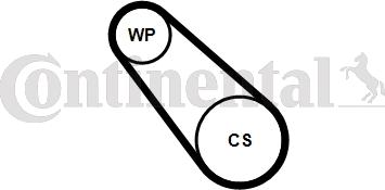 Contitech 3PK725 ELAST WP1 - Pompa acqua + Kit cinghia Poly V www.autoricambit.com