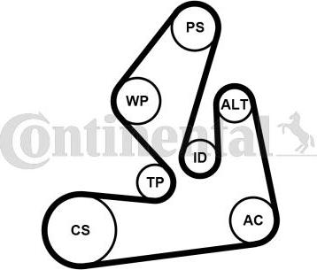 CONTITECH 7PK1970K1 - Kit Cinghie Poly-V www.autoricambit.com