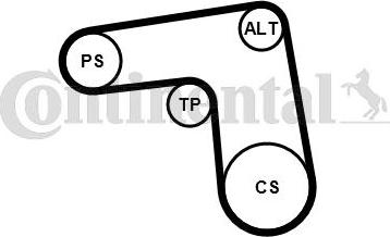 Contitech 7PK1076K1 - Kit Cinghie Poly-V www.autoricambit.com