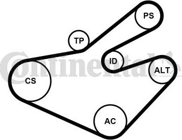 CONTITECH 7PK1795K1 - Kit Cinghie Poly-V www.autoricambit.com