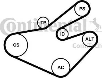 Continental 7PK1795K1 - Kit Cinghie Poly-V www.autoricambit.com