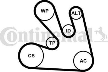 CONTITECH 7 PK 1705 K1 - Kit Cinghie Poly-V www.autoricambit.com