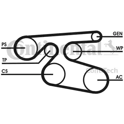 Continental 7PK2000 - Cinghia Poly-V www.autoricambit.com