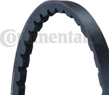 Contitech AVX10X825 - Cinghia trapezoidale www.autoricambit.com