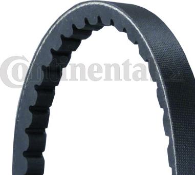 Contitech AVX13X950 - Cinghia trapezoidale www.autoricambit.com