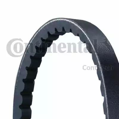 Continental AVX 13X1040 - Cinghia trapezoidale www.autoricambit.com