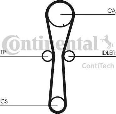 Continental CT954 - Cinghia dentata www.autoricambit.com