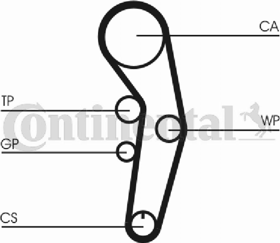 Contitech CT 956 - Cinghia dentata www.autoricambit.com