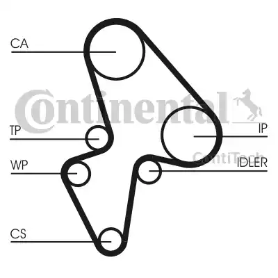 Continental CT906 - Cinghia dentata www.autoricambit.com