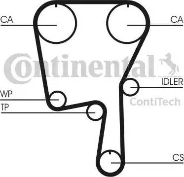 Continental CT907 - Cinghia dentata www.autoricambit.com