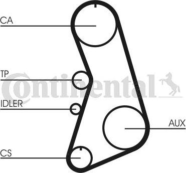 CONTITECH CT 919 - Cinghia dentata www.autoricambit.com