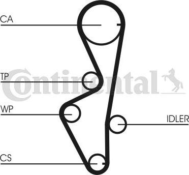 Contitech CT916 - Cinghia dentata www.autoricambit.com