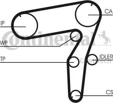 Continental CT918 - Cinghia dentata www.autoricambit.com