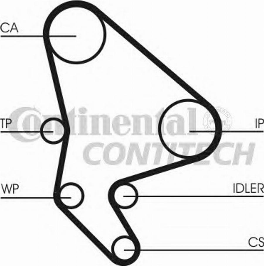 Contitech CT986K1 - Kit cinghie dentate www.autoricambit.com