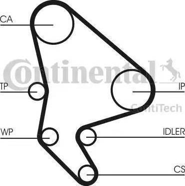 Continental CT986WP2 - Pompa acqua + Kit cinghie dentate www.autoricambit.com