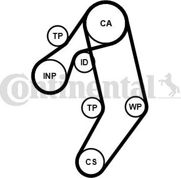 CONTITECH CT939K8PRO - Kit cinghie dentate www.autoricambit.com