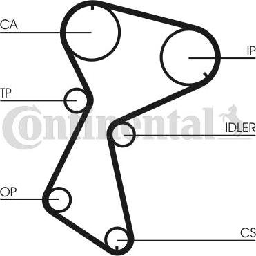 CONTITECH CT 935 - Cinghia dentata www.autoricambit.com