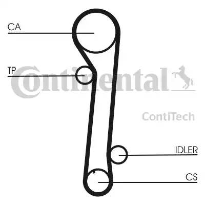 Continental CT937 - Cinghia dentata www.autoricambit.com