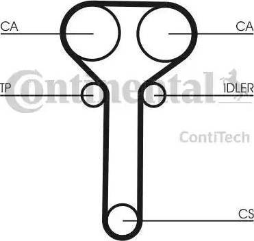 Continental CT978WP1 - Pompa acqua + Kit cinghie dentate www.autoricambit.com