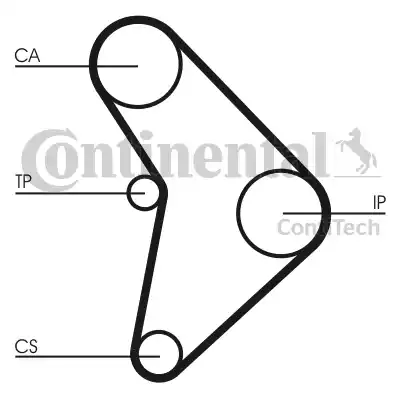 Continental CT592 - Cinghia dentata www.autoricambit.com