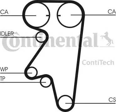 Continental CT543 - Cinghia dentata www.autoricambit.com