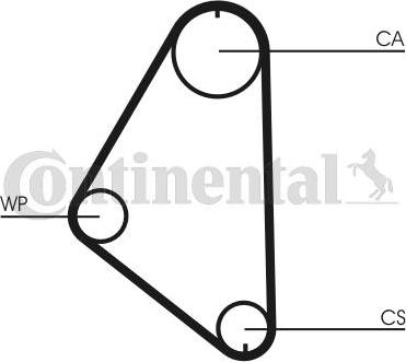 CONTITECH CT 558 - Cinghia dentata www.autoricambit.com