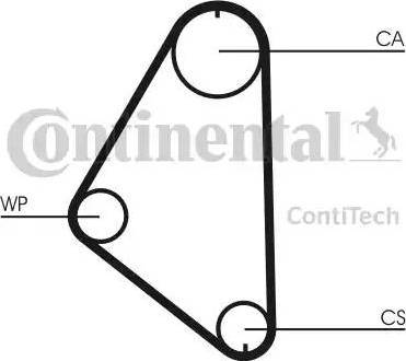 Continental CT558 - Cinghia dentata www.autoricambit.com