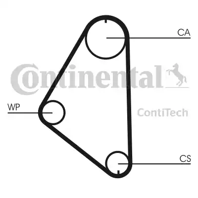 Continental CT558 - Cinghia dentata www.autoricambit.com