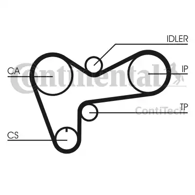 Continental CT508 - Cinghia dentata www.autoricambit.com