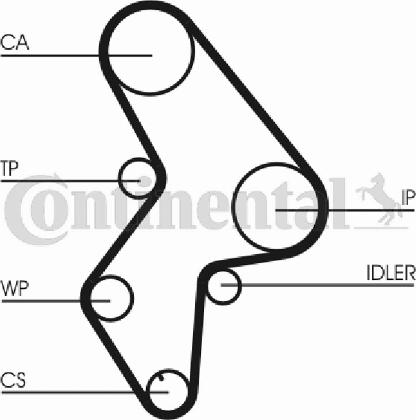 CONTITECH CT523 - Cinghia dentata www.autoricambit.com