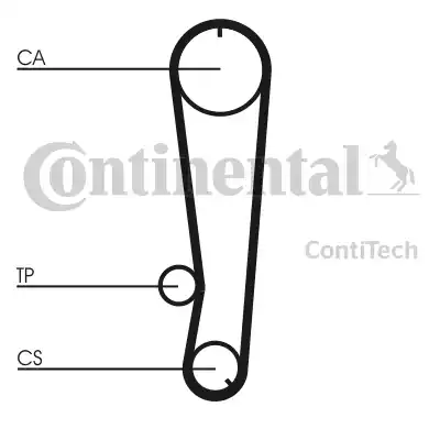 Continental CT655 - Cinghia dentata www.autoricambit.com