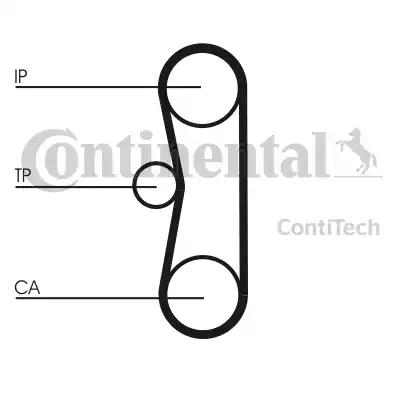 Continental CT662 - Cinghia dentata www.autoricambit.com