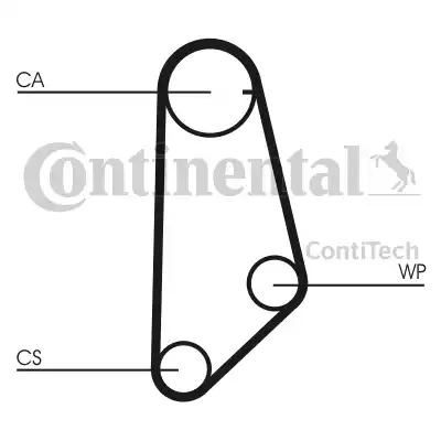 Continental CT635 - Cinghia dentata www.autoricambit.com