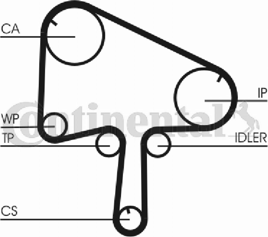 Contitech CT 1098 - Cinghia dentata www.autoricambit.com