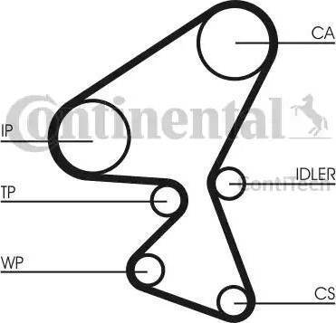 Continental CT1092 - Cinghia dentata www.autoricambit.com