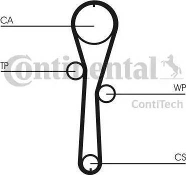 Continental CT1045WP1 - Kit cinghie dentate www.autoricambit.com