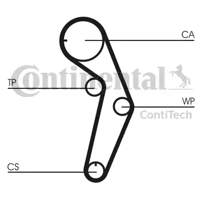 Continental CT 1048 - Cinghia dentata www.autoricambit.com