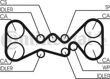 CONTITECH CT 1058 K1 - Kit cinghie dentate www.autoricambit.com