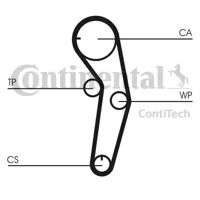 Continental CT1053 - Cinghia dentata www.autoricambit.com