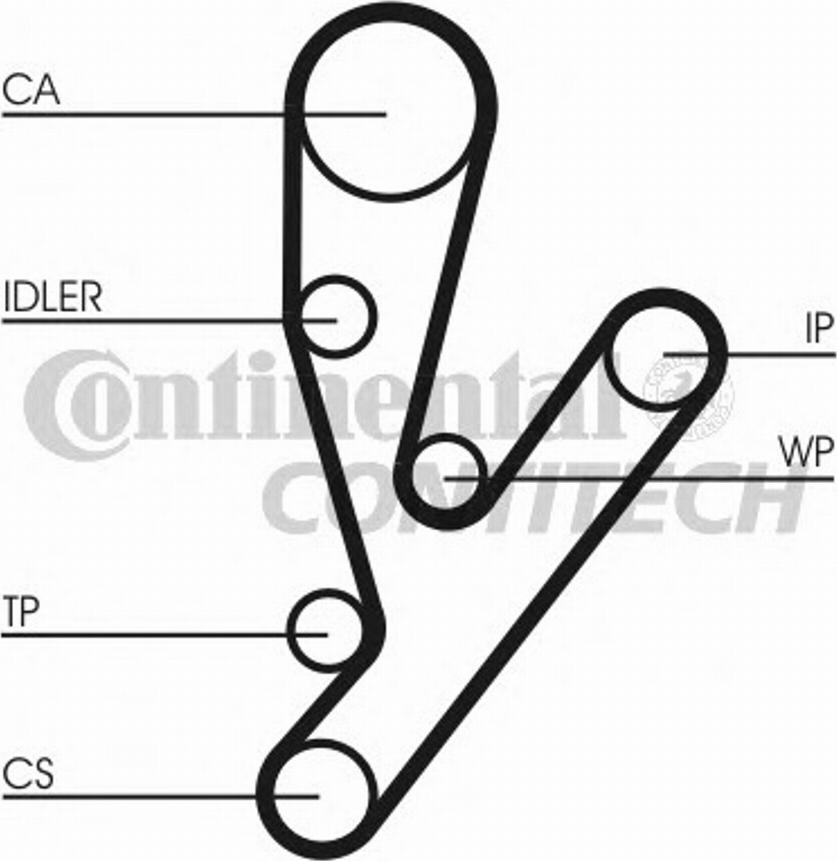 Contitech CT1057 - Cinghia dentata www.autoricambit.com