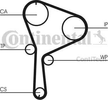 Continental CT 1064 - Cinghia dentata www.autoricambit.com