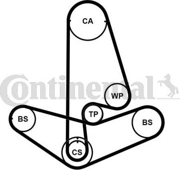 Continental CT1001K2PRO - Kit cinghie dentate www.autoricambit.com