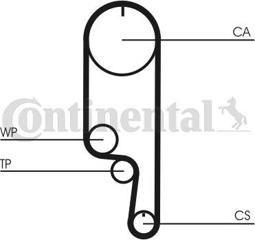 Continental CT1008WP2 - Pompa acqua + Kit cinghie dentate www.autoricambit.com