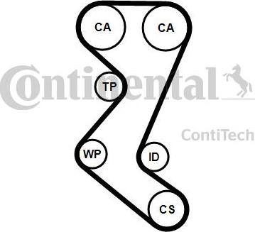 CONTITECH CT 1019 - Cinghia dentata www.autoricambit.com